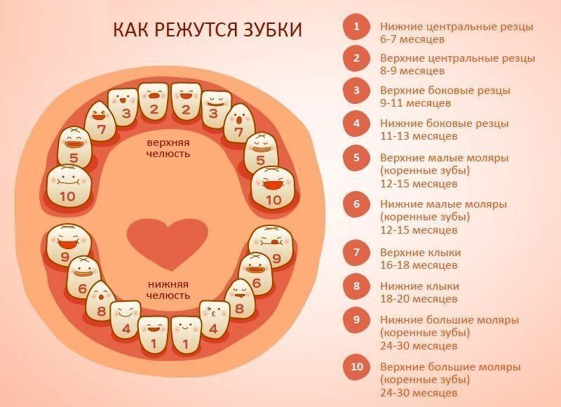 Отзывы врачей о гелях для прорезывания зубов